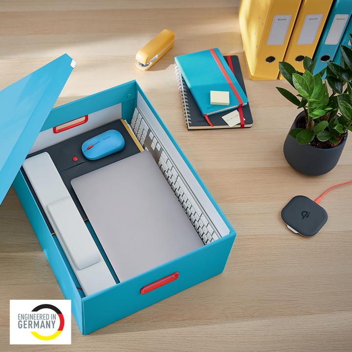 Actual product image Leitz CLICK & STORE COSY - Box Large (A3)