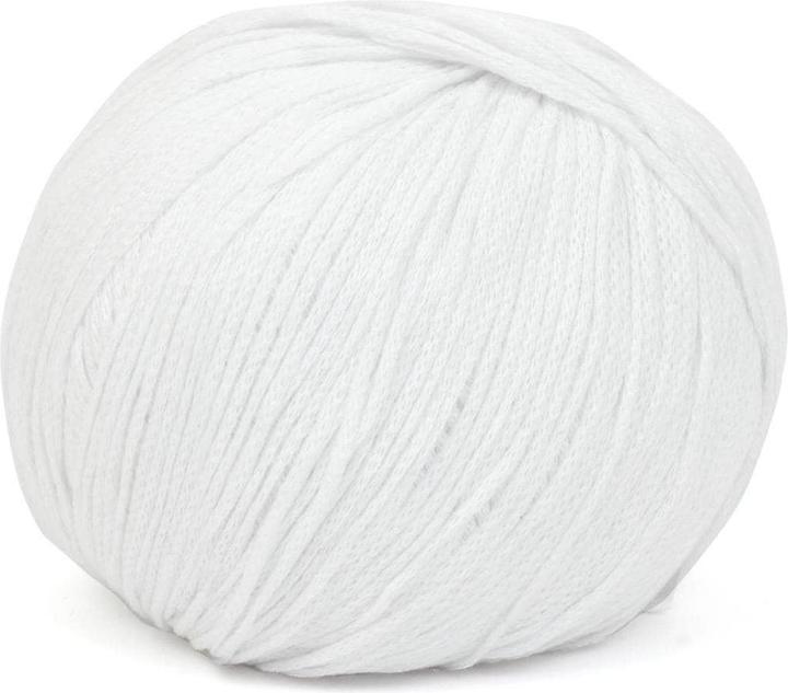 Image du produit DMC Laine Eco Vita 100 g, blanc (250 m)