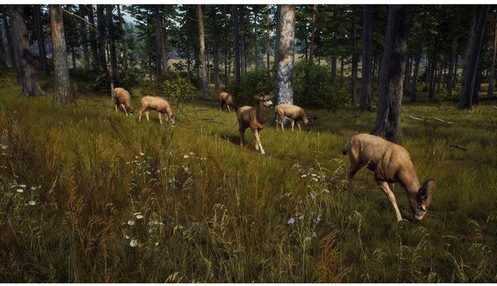 Actual product image THQ Way of the Hunter (Xbox Series X, DE)