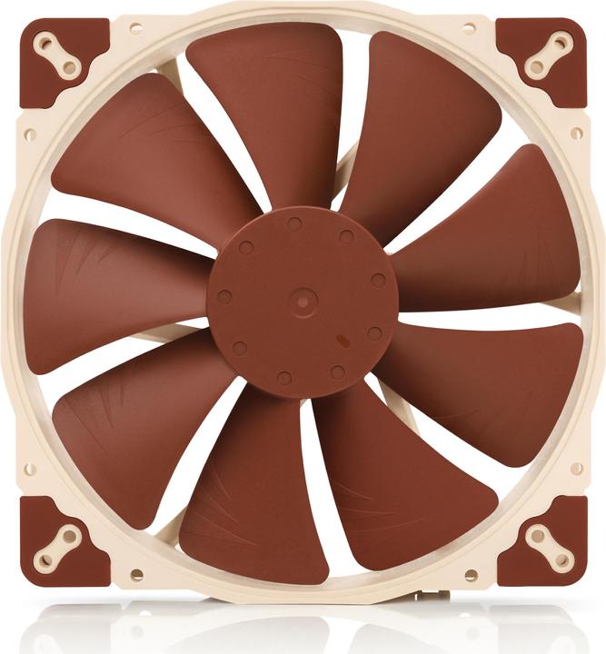 Marron, Beige