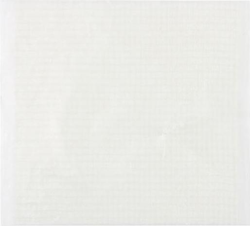 Actual product image Lohmann & Rauscher H Ointment tulle