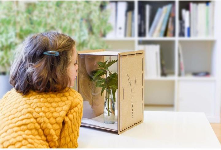 Actual product image Mein Raupenkasten Insect hotel caterpillar box (Butterflies)