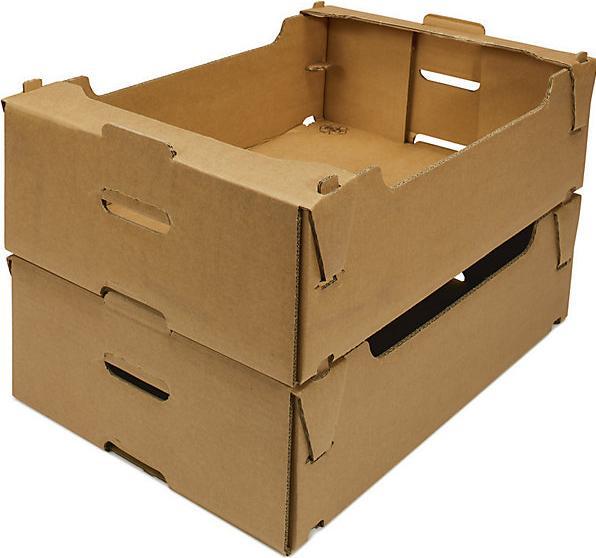 Produktbild Terra Stecksteige hoch (1 x)