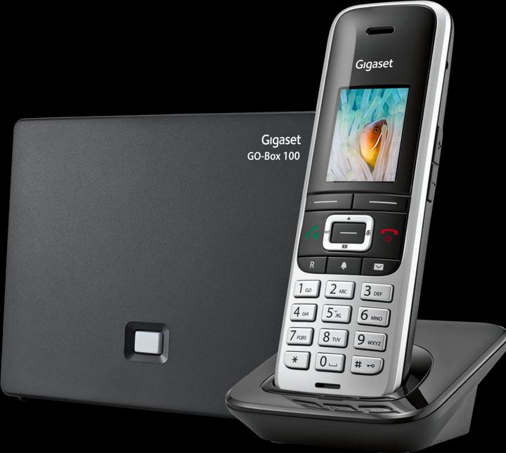Image du produit Gigaset Premium 100 A Go
