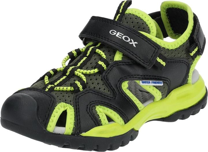 Black/lime