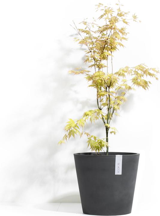Image du produit Ecopots Amsterdam (40 cm)