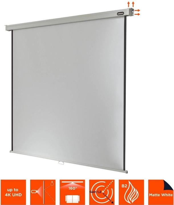 Produktbild Celexon Rollo Professional, Leinwand, 1:1 (167", 1:1)