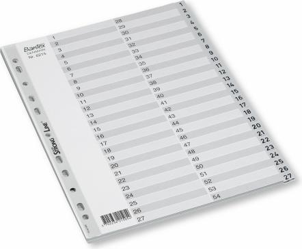 Bantex Index Basic-line, 1-54, plast, A4, grå