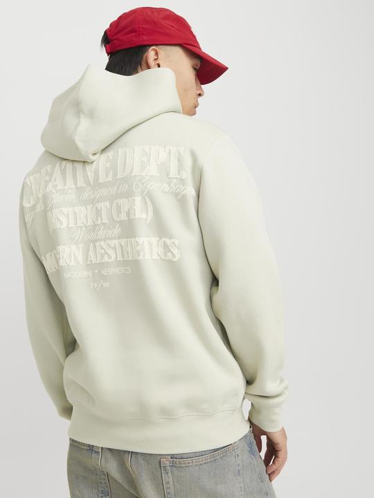 Actual product image Jack & Jones Jorroxbury Back Sweat Hood Ln (M)