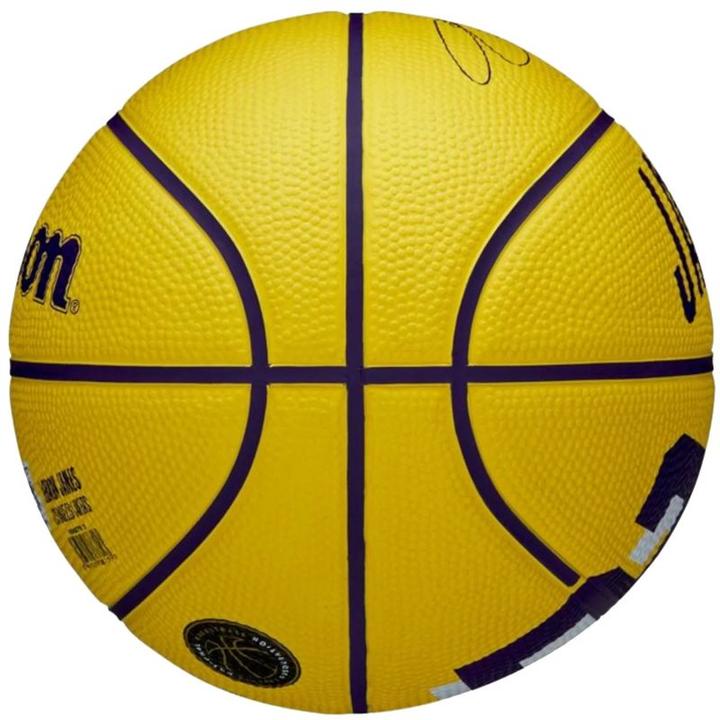 Immagine prodotto Wilson NBA-Spielerikone LeBron James Mini-Basketball