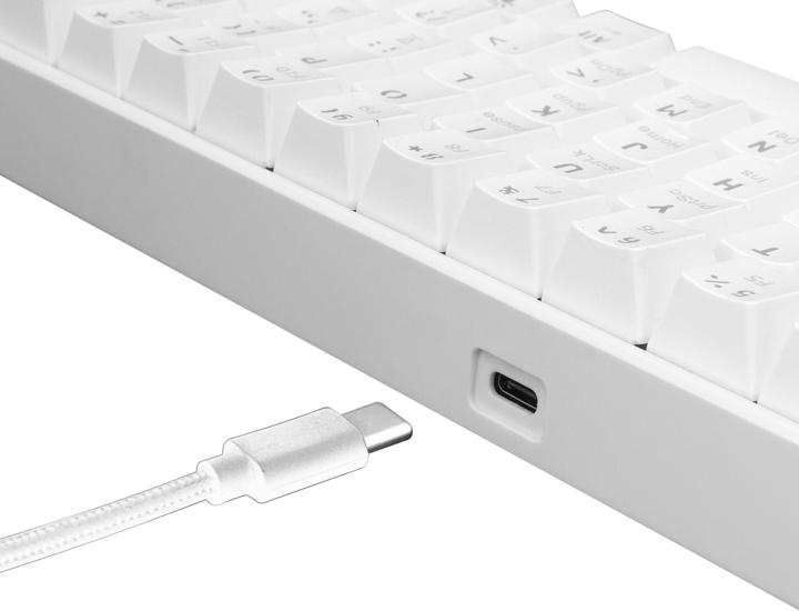 Produktbild White Shark Mechanical Gaming Keyboard Shinobi, OUTEMU RED Switch, Full Rainbow RGB LED Backlight, U (US, Kabelgebunden)