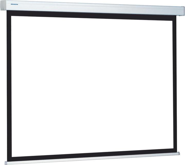 Projecta ProScreen Projection Screen (125 inch)