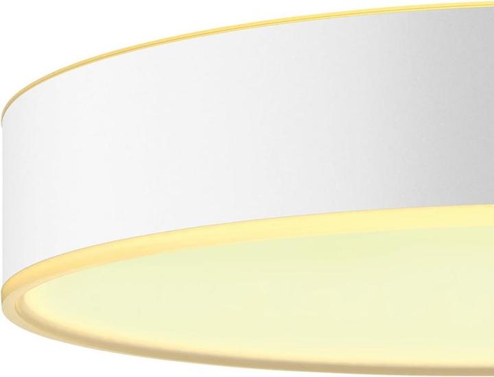 Immagine prodotto Philips Hue White Ambiance Enrave (1200 lm)