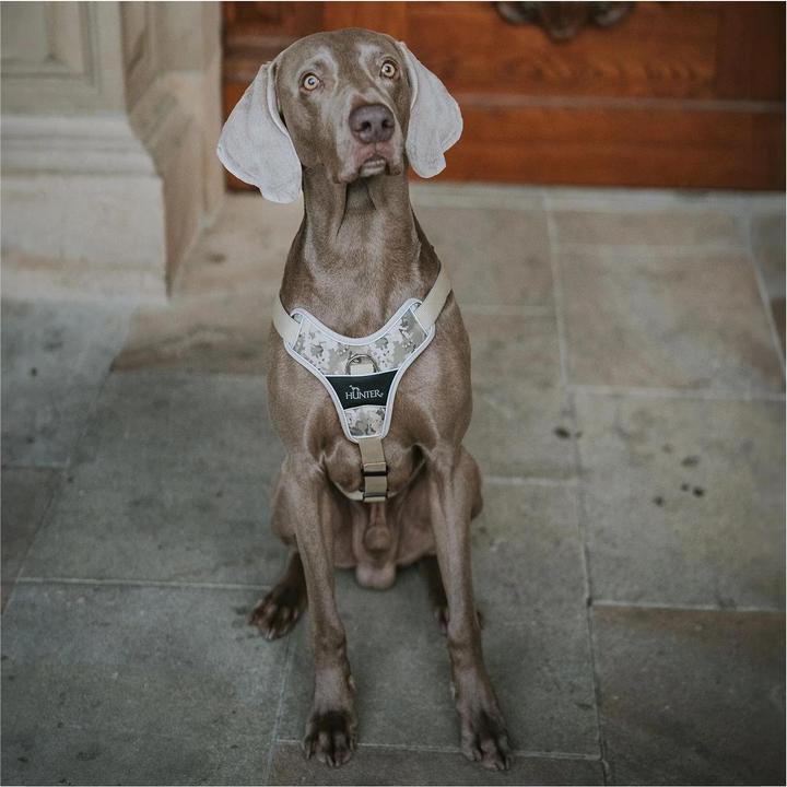 Image du produit Hunter Harnais Camouflage Divo pour chiens Beige L-XL (Chien, Général)