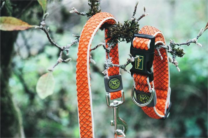 Actual product image Hunter Dog Collar Hilo Vario Basic (M, L, Dog, Dog sport)