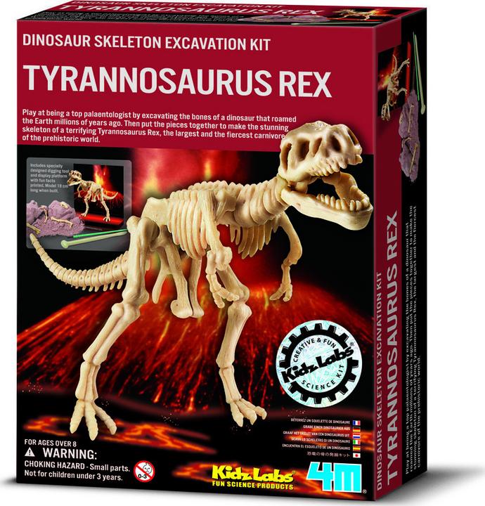 Produktbild 4M Dinosaurier Ausgrabung Tyrannosaurus Rex