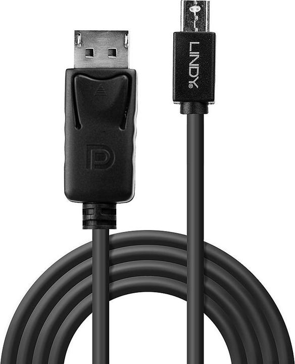 Actual product image Lindy Mini DisplayPort — DisplayPort (1 m, DisplayPort)