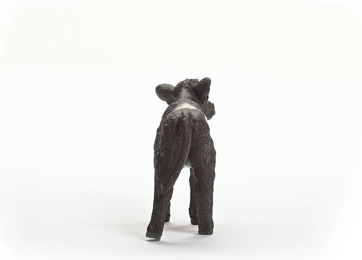 Image du produit Schleich Veau Galloway