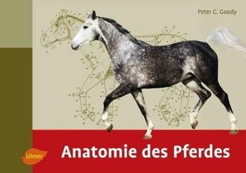 Immagine prodotto Anatomie des Pferdes (Tedesco, Peter C. Goody, 2015)