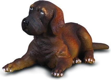 Image du produit Collecta Dogue allemand chiot