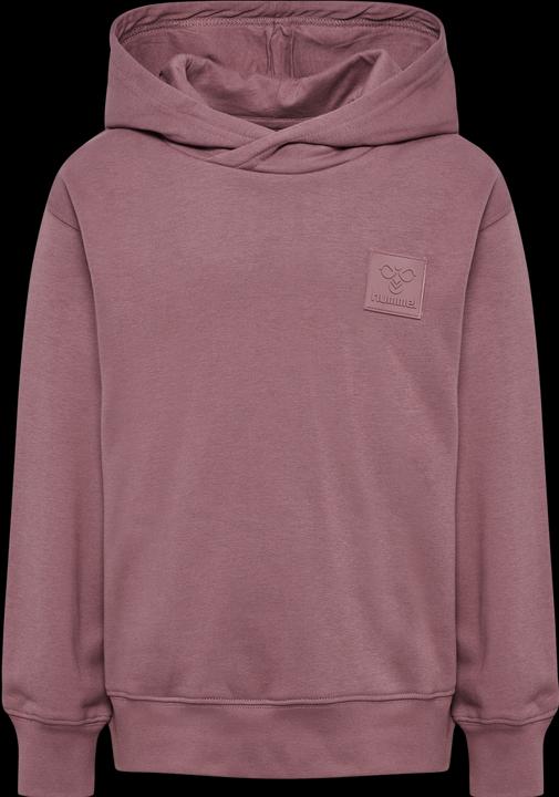 Image du produit hummel hmlCLEAN HOODIE (164)
