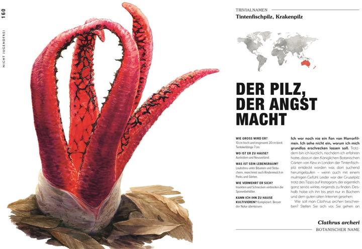 Produktbild Kuriose Pflanzen (Deutsch, Michael Perry, Reinhard Ferstl, DK Verlag, 2023)