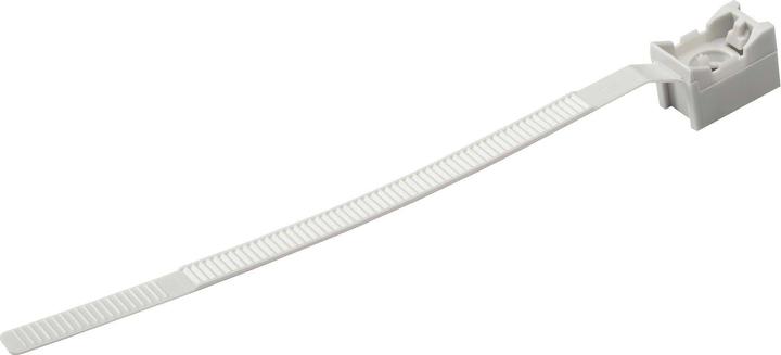 Immagine prodotto Schneider Electric Fascetta per tubi PA Kst Vite gr ENN47930 (100 pz.)