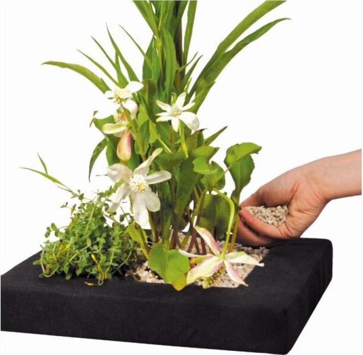 Produktbild Velda Floating Plant Island