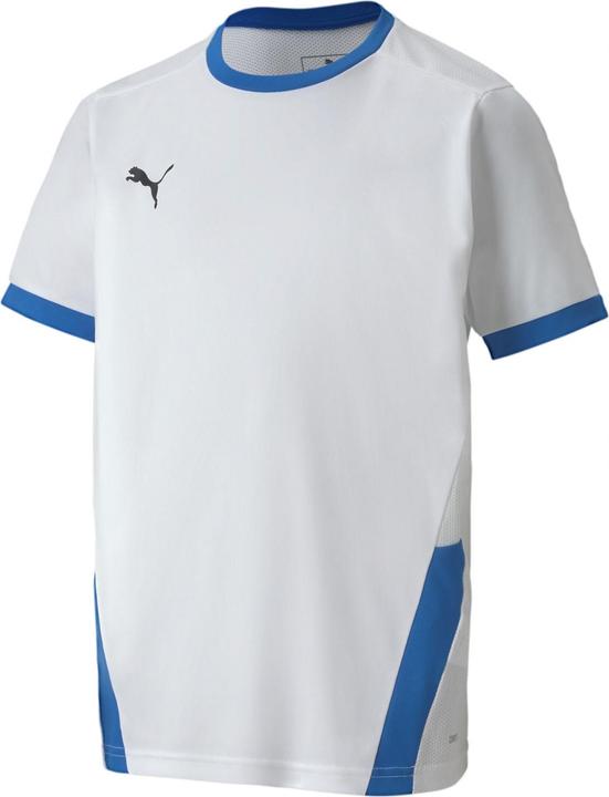 Image du produit Puma teamGOAL 23 Jersey jr-704160 (164)