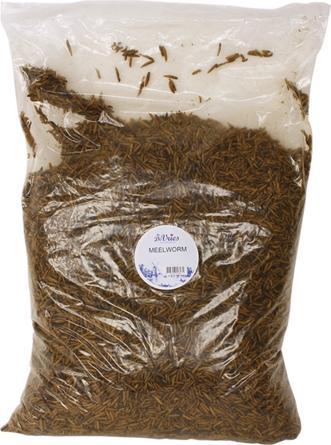 dekoVries Meelworm Black Soldier Fly (1 x, 5 kg)
