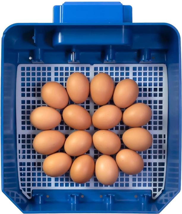 Produktbild APS Brutapparat 16 Eier Wasserspender vollautomatisch Brutmaschine Brutautomat