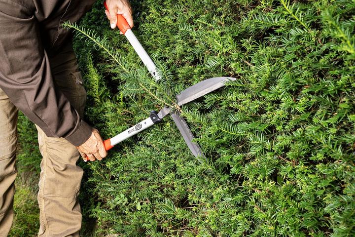 Produktbild Felco 250-63 (Handheckenschere)