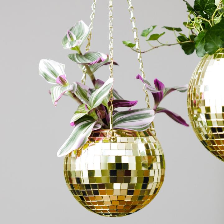 Image du produit Bubblegum Discokugel Pflanzentopf zum aufhängen Gold