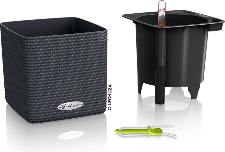 Actual product image Lechuza Cube Color (14 cm)
