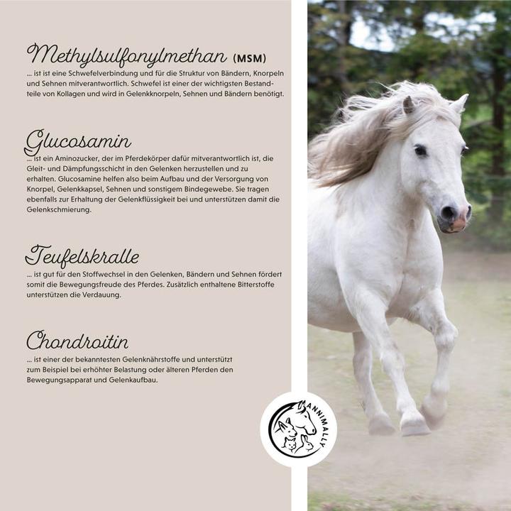 Actual product image Annimally Joy of movement (1 x, 850 g)