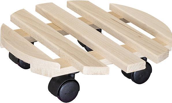 Actual product image Pflanzenroller Buche PALETTI 0318