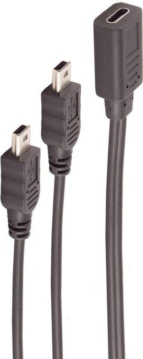 Immagine prodotto Shiverpeaks ®-BASIC-S- adattatore, presa USB C a 2x spina USB mini B, cavo a Y, 2.0, nero, 0,3m (0.30 m, USB 2.0)