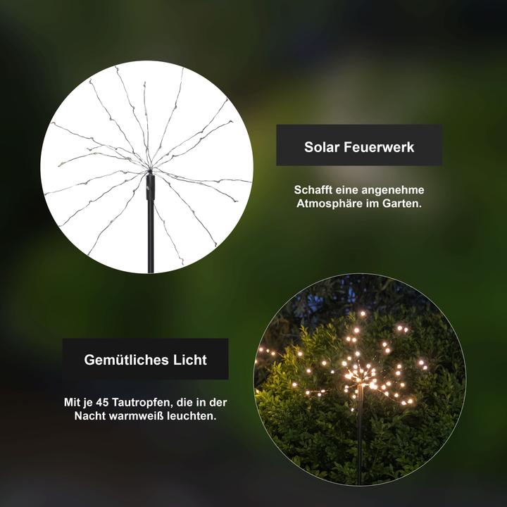 Actual product image Star Trading Solar Decoration Firework (IP44)