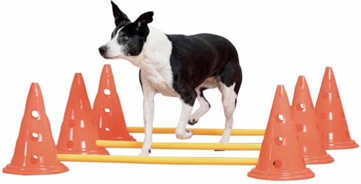 Pawise Dog Activity Set,3 haies,petit pylône,23 (Agility)