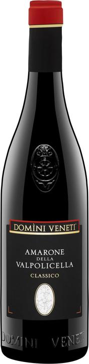 Domini Veneti Amarone della Valpolicella Classico DOCG (1 x 75 cl, 2013)