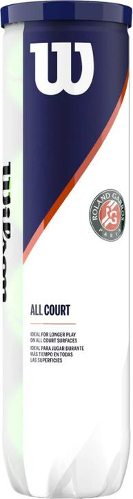 Actual product image Wilson Roland Garos All Court 4