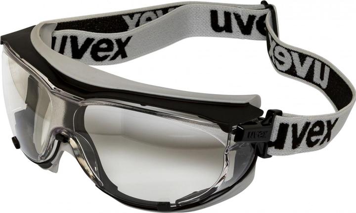 Uvex Safety Occhiali per la visione completa