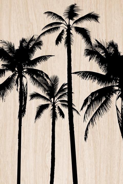 C-Con Wood (40 x 60 cm)