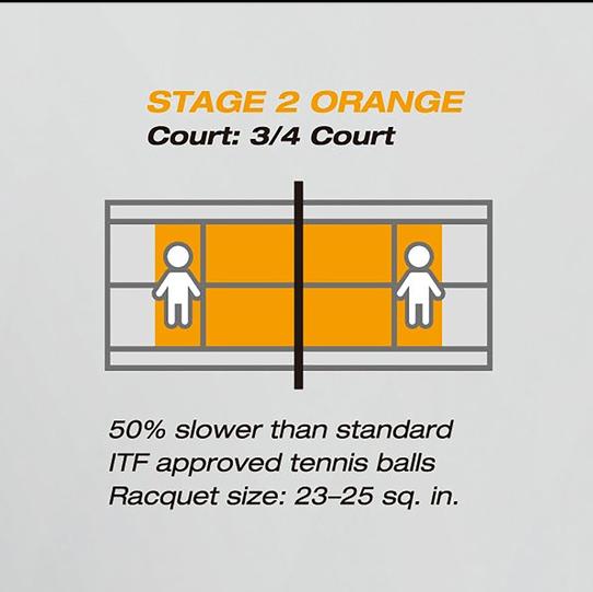 Immagine prodotto Yonex Fase 2 Potenza muscolare 30