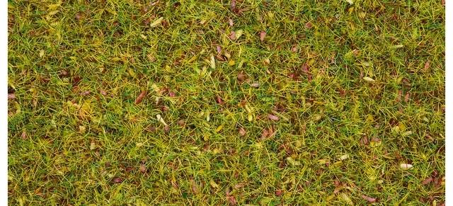 Produktbild Noch Streugras Blumenwiese 8330 Mit