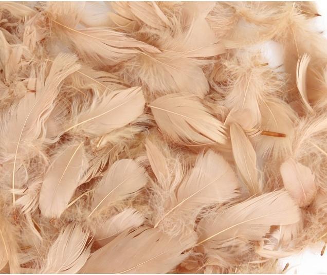 Immagine prodotto Piume decorative naturali 50 grammi - misure miste