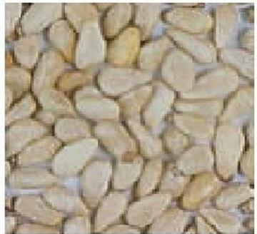 Immagine prodotto Schweizer Pinoli (2 x, 0.20 kg)