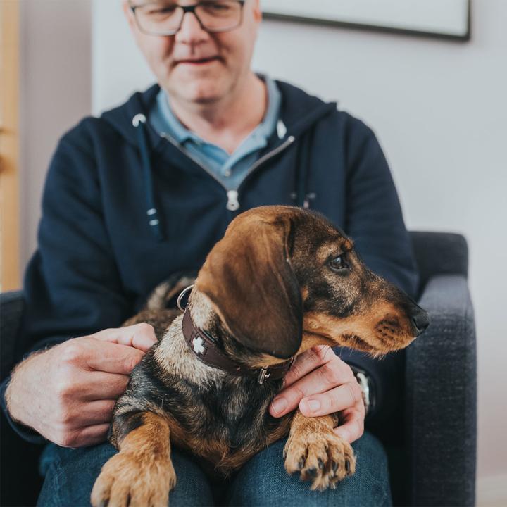 Produktbild Hunter Halsband Swiss Echtleder (M, Hund, Allgemein)