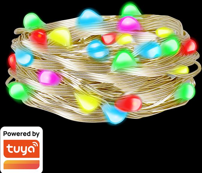 Produktbild LogiLink Wi-Fi Smart RGB-Lichterkette mit Fernbedienung, Tuya kompatibel, 5 m (5 m)
