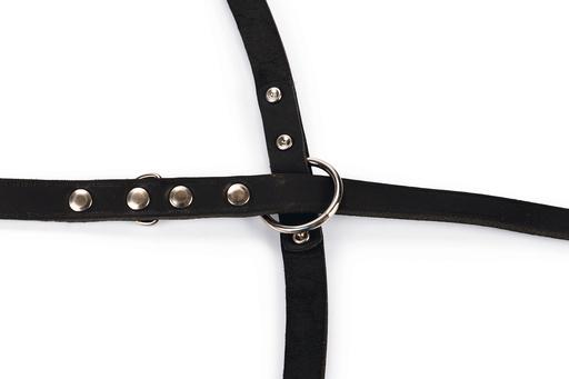 Produktbild Karlie Rodeo (M, Hund, Spazieren)